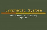 Lymphatic System The “Other” Circulatory System. Lymphatic circulation (1)