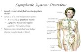 Lymphatic System: Overview Lymph – interstitial fluid once in lymphatic vessels Consists of 2 semi-independent parts: – A network of lymphatic vessels.