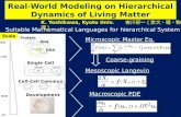 Cell-Cell Commun. Macroscopic PDE Mesoscopic Langevin Microscopic Master Eq. Coarse-graining Suitable Mathematical Languages for hierarchical System Single.