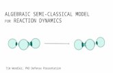 ALGEBRAIC SEMI-CLASSICAL MODEL FOR REACTION DYNAMICS Tim Wendler, PhD Defense Presentation.