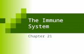 The Immune System Chapter 21. Immune System functional system rather than organ system  Hematopoetic  Vasculature  Lymphatic Fig 21.1.