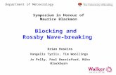Blocking and Rossby Wave-breaking Brian Hoskins Vangelis Tyrlis, Tim Woollings Jo Pelly, Paul Berrisford, Mike Blackburn Department of Meteorology Symposium.
