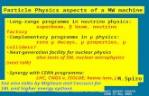 Michel Spiro Particle Physics at the Megawatt proton source. CERN 27 May 2004 Long-range programme in neutrino physics: superbeam, β beam, neutrino factory.