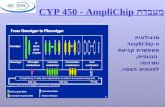 מעבדת CYP 450 - AmpliChip טכנולוגית ה -AmpliChip מאפשרת קביעת הגנוטיפ, ותרגומו לפנוטיפ הצפוי.
