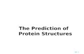 6B -1 The Prediction of Protein Structures. 6B -2 Amino Acids ( 胺基酸 ) 胺基酸：蛋白質的基本單位，共 20 種.