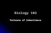 Biology 102 Patterns of Inheritance. Lecture outline Down Syndrome: Clarification Down Syndrome: Clarification Patterns of Inheritance: Introduction Patterns.