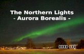 The Northern Lights - Aurora Borealis - 인문학부 윤미나.
