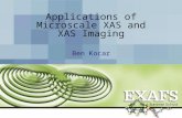 Applications of Microscale XAS and XAS Imaging Ben Kocar.