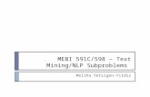 MEBI 591C/598 – Text Mining/NLP Subproblems Meliha Yetisgen-Yildiz.