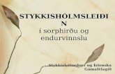 STYKKISHÓLMSLEIÐIN í sorphirðu og endurvinnslu Stykkishólmsbær og Íslenska Gámafélagið.
