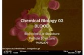 Chemical Biology 03 BLOOD Biomolecular Structure Protein Structure 9/25/09 .