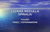 CEDERA MEDULLA SPINALIS YULIATI FIKES / KEPERAWATAN.