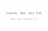 Lipids: Not Just Fat BIOL 103, Chapter 6-1. Today’s Topics What are Lipids? Fatty Acids are Key Building Blocks Triglycerides Phospholipids Sterols.