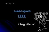 Central Nervous System Limbic System 边缘系统. Introduction.