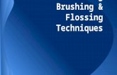 17.9 Demonstrating Brushing & Flossing Techniques.