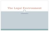 CHAPTER 8 The Legal Environment. Legal Issues Facing Start-Ups Protect your Intellectual Property: its an asset Intellectual Property Law: the group of.