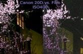 Canon 20D vs. Film ISO400. Canon 20D vs. Film ISO1600.