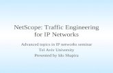 NetScope: Traffic Engineering for IP Networks Advanced topics in IP networks seminar Tel Aviv University Presented by Ido Shapira.