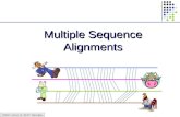 CS262 Lecture 14, Win07, Batzoglou Multiple Sequence Alignments.