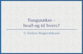 Tungutækni – hvað og til hvers? © Eiríkur Rögnvaldsson.