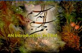 AN Introduction to EBM. The Need for Evidence-Based Medicine.