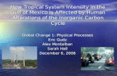 How Tropical System Intensity in the Gulf of Mexico Is Affected by Human Alterations of the Inorganic Carbon Cycle Global Change 1: Physical Processes.