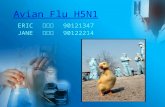Avian Flu H5N1 ERIC 吳玟晏 90121347 JANE 呂嘉心 90122214.