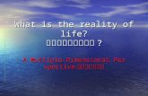 What is the reality of life? 什麼才是生命的真相 ? A Multiple-Dimensional Perspective 多度空間命運觀.