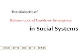 The Dialectic of Bottom-up and Top-down Emergence in Social Systems 報告者：廖于萱、張筠、曾一平、劉季寧.