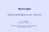 Д.А. Равчеев (14 апреля 2009 г.) Факультет Биоинженерии и Биоинформатики, 2 курс, весенний семестр Функции