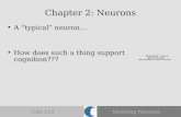 CSE 153Modeling Neurons Chapter 2: Neurons A “typical” neuron… How does such a thing support cognition???