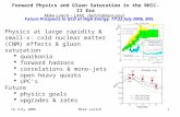 19 July 2006Mike Leitch1 Forward Physics and Gluon Saturation in the RHIC-II Era Mike Leitch – LANL (leitch@lanl.gov) Future Prospects in QCD at High Energy,