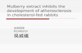 Mulberry extract inhibits the development of atherosclerosis in cholesterol-fed rabbits 生科四甲 91240253 吳威儀.