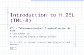 Introduction to H.26L (TML-8) ITU - Telecommunications Standardization Sector STUDY GROUP 16 Video Coding Experts Group (VCEG) stewe/vceg/archive.htm#TML8.