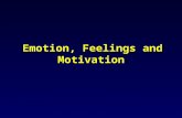 Emotion, Feelings and Motivation. 情緒是什麼？ 那些因素會影響情緒？ 影響情緒的機制 / 過程為何 ?