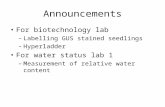 Announcements For biotechnology lab –Labelling GUS stained seedlings –Hyperladder For water status lab 1 –Measurement of relative water content.