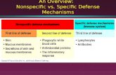 An Overview: Nonspecific vs. Specific Defense Mechanisms.