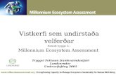 Vistkerfi sem undirstaða velferðar Erindi byggt á : Millennium Ecosystem Assessment Tryggvi Felixson framkvæmdastjóri Landverndar Umhverfisþing 2005.