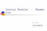 Sensor Module － MammaSim 李 俊 廷 695430070. Outline Introduction Motivation Sensor module (MannaSim) Extension.