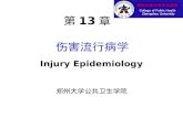 Injury Epidemiology 伤害流行病学 郑州大学公共卫生学院 第 13 章. 本章要点 概述 : 定义、分类、重要性 伤害的分布特征 研究方法和内容 伤害的干预