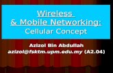 Wireless & Mobile Networking: Cellular Concept Azizol Bin Abdullah azizol@fsktm.upm.edu.my (A2.04)