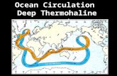 Ocean Circulation Deep Thermohaline currents. Density = mass/volume (gr/cm 3 ) D (ρ) ~(T, S)