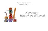 Ingvar Sigurgeirsson - janúar 2007 Námsmat: Hugtök og álitamál.