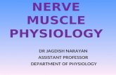 NERVE MUSCLE PHYSIOLOGY DR JAGDISH NARAYAN ASSISTANT PROFESSOR DEPARTMENT OF PHYSIOLOGY.