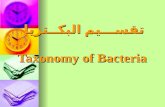 تقســـيم البكــتريا Taxonomy of Bacteria. بالرغم من أن تسمية وتصنيف البكتيريا تعتبر أحد الفروع الهامة في البكتيريولوجي