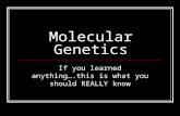 Molecular Genetics If you learned anything….this is what you should REALLY know.