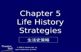 Chapter 5 Life History Strategies © 2002 by Prentice Hall, Inc. Upper Saddle River, NJ 07458 生活史策略.