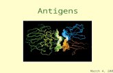 Antigens March 4, 2003. Part I Introduction Chapter 1. Overview of the Immune System Chapter 2. Cells and Organs of the Immune System Part II Generation.