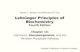 Lehninger Principles of Biochemistry Fourth Edition Chapter 14: Glycolysis, Gluconeogenesis, and the Pentose Phosphate Pathway Copyright © 2004 by W. H.