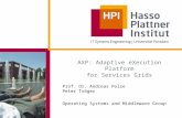 AXP: Adaptive eXecution Platform for Services Grids Prof. Dr. Andreas Polze Peter Tröger Operating Systems and Middleware Group.